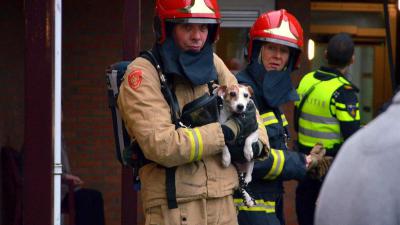 hondje-brandweerman