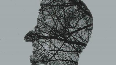 hoofd-takken-bomen-hersenen