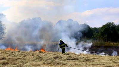 Flinke natuurbrand in weiland nabij Hooibrug is vierde in korte tijd