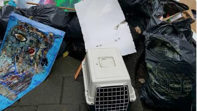 Katten gedumpt bij huisvuil in Amsterdam