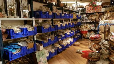 Recordvangst politie en douane in onderzoek naar wildlife crime