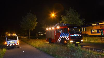 Treinverkeer stil na aanrijding met ree