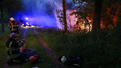 Metershoge vlammen in bosperceel tussen Liempde en Sint-Oedernode
