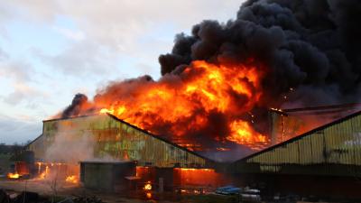 Grote brand in varkenstal Oirschot