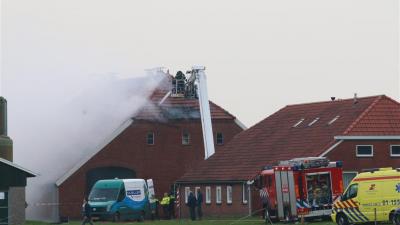 Kalveren omgekomen bij schuurbrand in Veendam