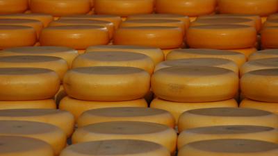 'Toenemend aantal diefstallen bij kaasboeren'