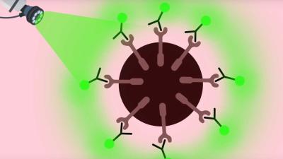 kankercellen-oplichten