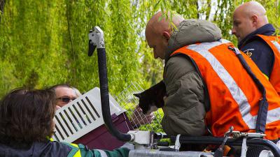 Brandweer redt kat uit boom in Boxtel