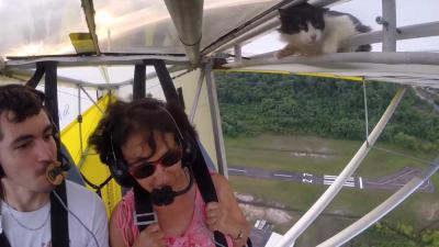 Geen kroegpraat, kat kruipt uit vleugel ultralight vliegtuigje na opstijgen