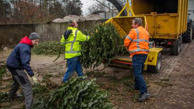 kerstboom-vernipperaar