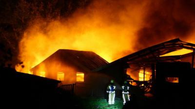 Duizenden kippen omgekomen bij grote brand Orvelte 