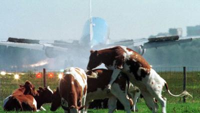 Boeren gaan Schiphol bezetten