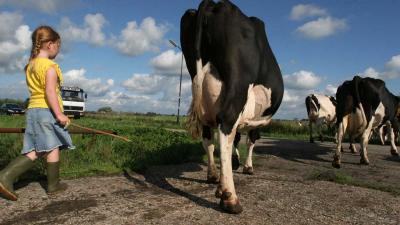 Utrecht stelt 0,45 miljoen euro beschikbaar voor jonge boeren