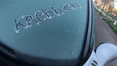 Niet brabben voorruit kost Hagenaar uiteindelijk 530 euro