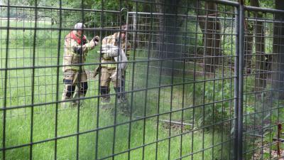 lammetje-brandweerman