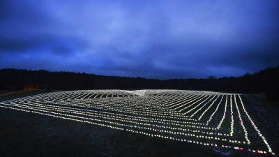 Hart van 11.239 lampionnen verlicht middelpunt van Nederland