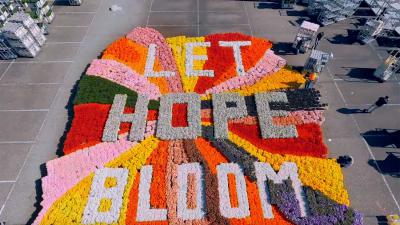 let-hope-bloom