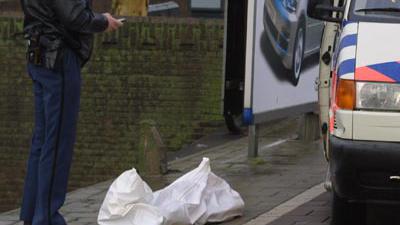 Dode in water Rijswijk is noodlottig ongeval; identiteit nog onbekend