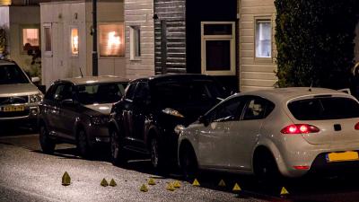 Politie pakt twee tieners op voor dubbele liquidatie Rhijnauwensingel