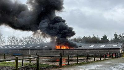 manege-brand