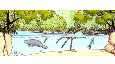 Grootste overdekte mangrove ter wereld komt in Arnhem