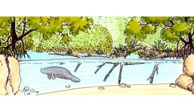 Grootste overdekte mangrove ter wereld komt in Arnhem