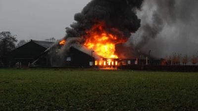 Brand in 't Dommeltje
