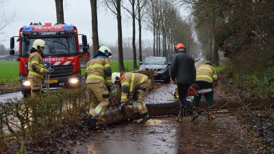 Brandweer maakt omgevallen boom klein