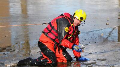 Brandweer redt in visdraad verstrikte meeuw van het ijs