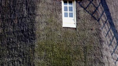 Getuigenoproep brand historische molen Enschede 