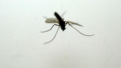 Supermug sluipend gevaar voor Nederland