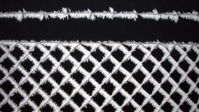 Vorst komt weer terug