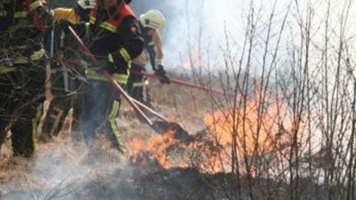 Grote natuurbrand in Drentse Alteveer