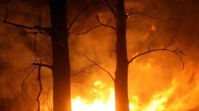 Grote brand in de Deurnese Peel