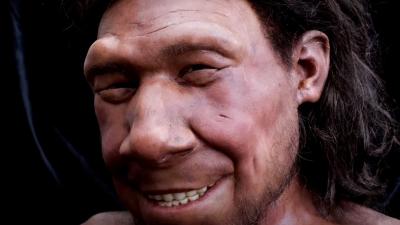 neanderthaler-krijn-reconstructie