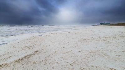 Storm en slijmalg zorgen voor hagelwitte stranden 