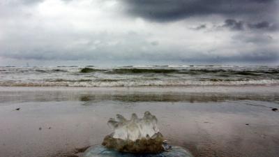 Noordzee