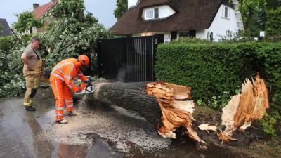 omgewaaide-boom-brandweer-villa