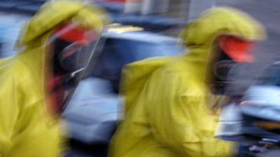 Tijgermug nu ook in Hardenberg, Haarlemmermeer, Amstelveen, Hardenberg, Weert, Lelystad en Almere