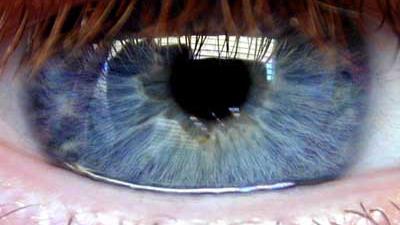 Foto van oog iris pupil wimper | Archief EHF
