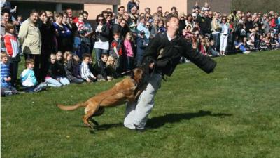 Foto van open dag POTC | Eigen foto