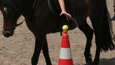 Paarden slaan op hol, zes gewonden