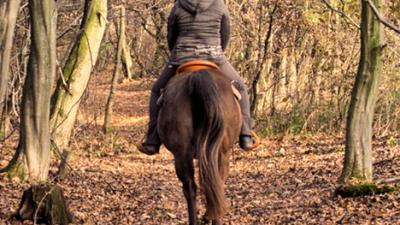 Foto van ruiter in het bos | Archief MV