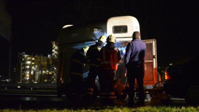 Paard omgekomen op na aanrijding op A1