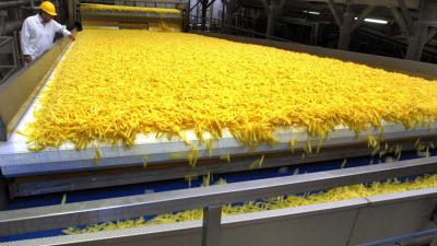  Meeste patat komt uit Nederland en België 