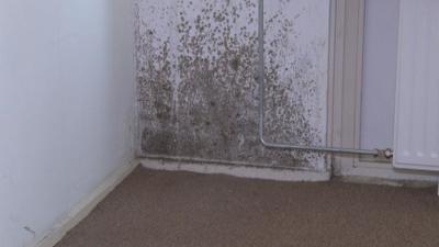 Klachtenregen bij ‘Meldpunt vocht en schimmel  in huurwoningen’