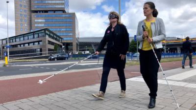 Honderden mensen blind in actie voor oogonderzoek