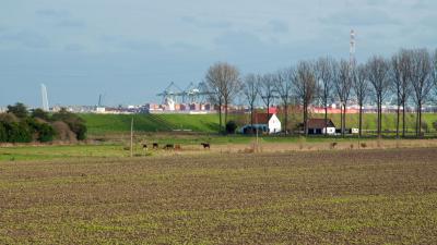 Ontpoldering 'Hertogin Hedwigepolder' mag doorgaan