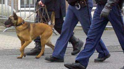 Foto van politie en hond | Archief EHF