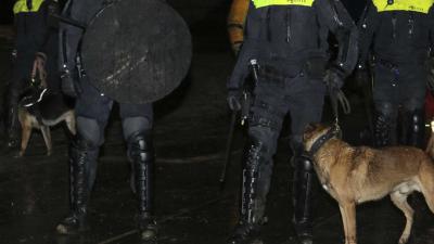 politie-honden-donker
